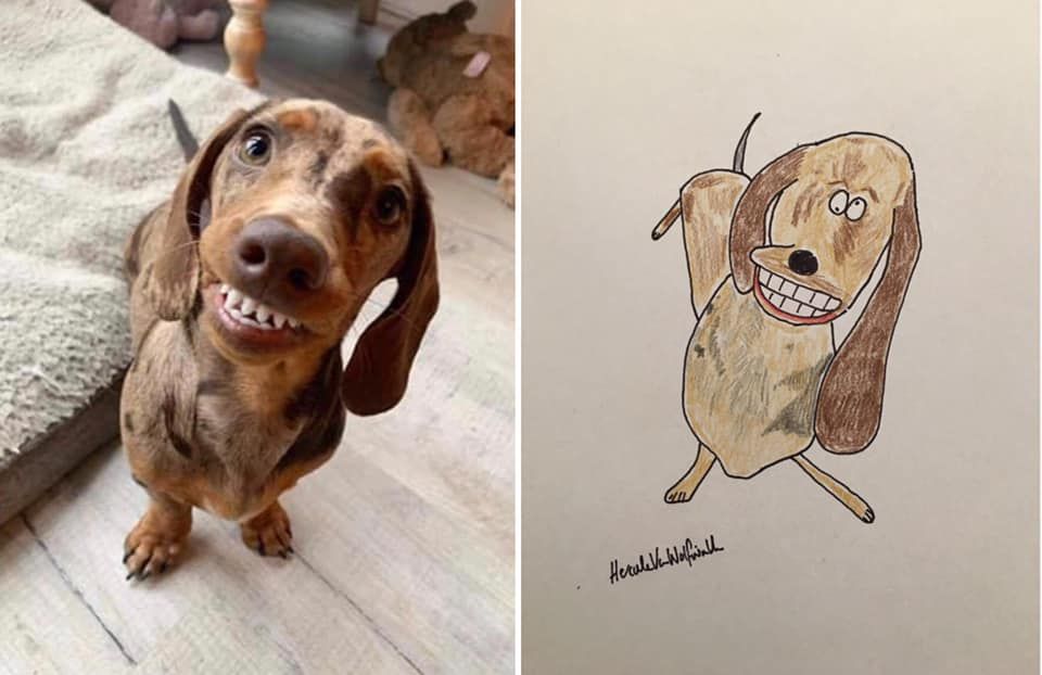 Another split image of a dachshund, this time one with a brindled coat and a silly expression. The photo on the left shows the pup in real life, while the portrait on the right again illustrates the artist's interpretation of the image. Both are quite hilarious. 