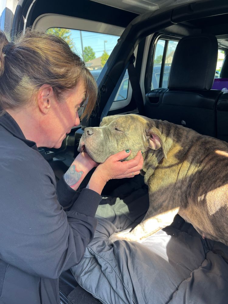 a person with a ponytail holds kegan’s big ol noggin in their hands and gives her a pep talk. you can tell by the person’s raised eyebrows and intense stare, plus kegan’s eyes closing blissfully in a ray of sunshine, that the message is heartfelt and being received.