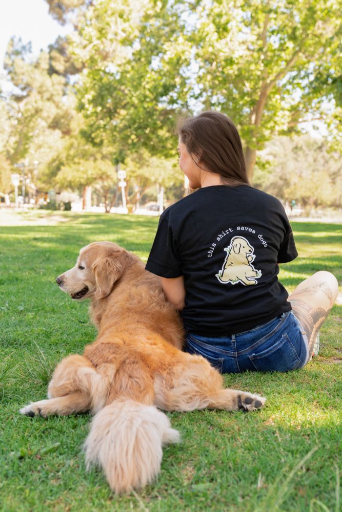 we’re back looking at the pair from behind. Fresno is once again in full sploot. the human reveals the back of the shirt that says “this shirt saves dogs” with the same cartoon sploot dog from the other shirt. 
