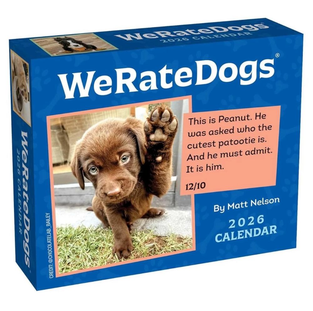 the WeRateDogs 2026 day-to-day calendar. the front features a small chocolate lab puppy who's sitting and raising his paw. his rating reads, 