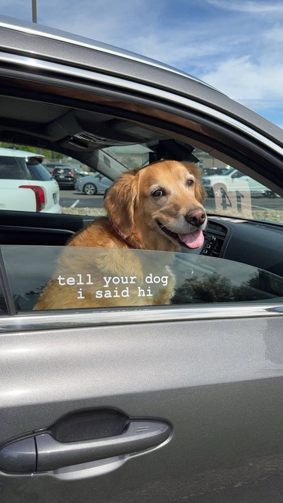 a golden retriever sits in the front passenger seat with their window rolled most of the way down. there is a 'tell your dog i said hi' sticker in white letters on the window. the golden looks back at us out the open window and gives us an open-mouth smile, tongue out, and squinty eyes. 