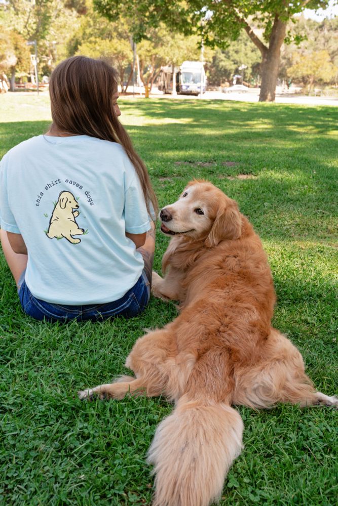 a golden retriever is in full sploot with his head turned back and looking at the camera. next to him is a human wearing a light blue t shirt. the back of the t shirt reads “this shirt saves dogs” with a matching cartoon image of a yellow pup also in a sploot