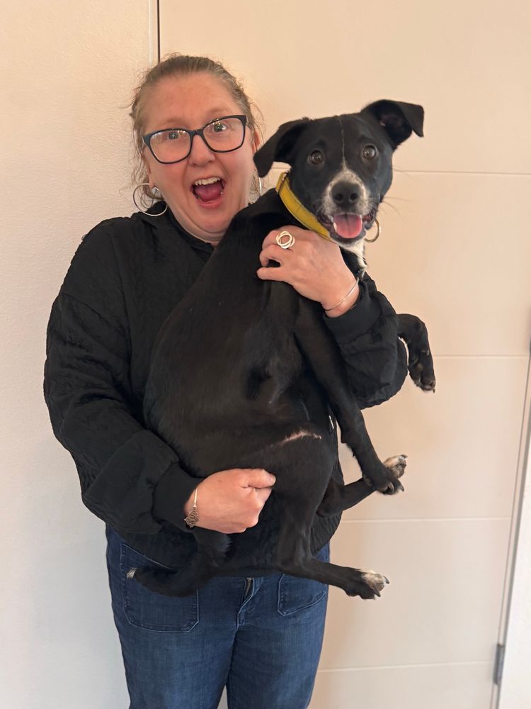 a person in a black sweater and glasses holds a black dog up in her arms. in addition to the coordinated color scheme, they also have matching expressions on their faces: wide eyes and open-mouthed surprise faces.