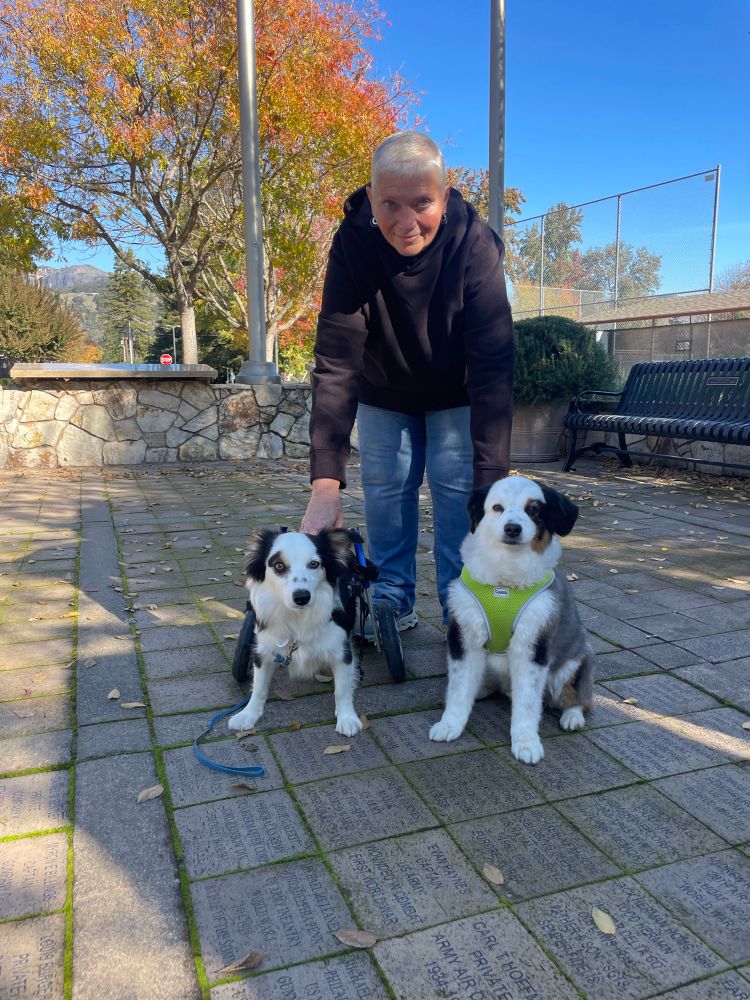 a photo of Ricky with his new family, consisting of one human and another dog who closely resembles Ricky. 