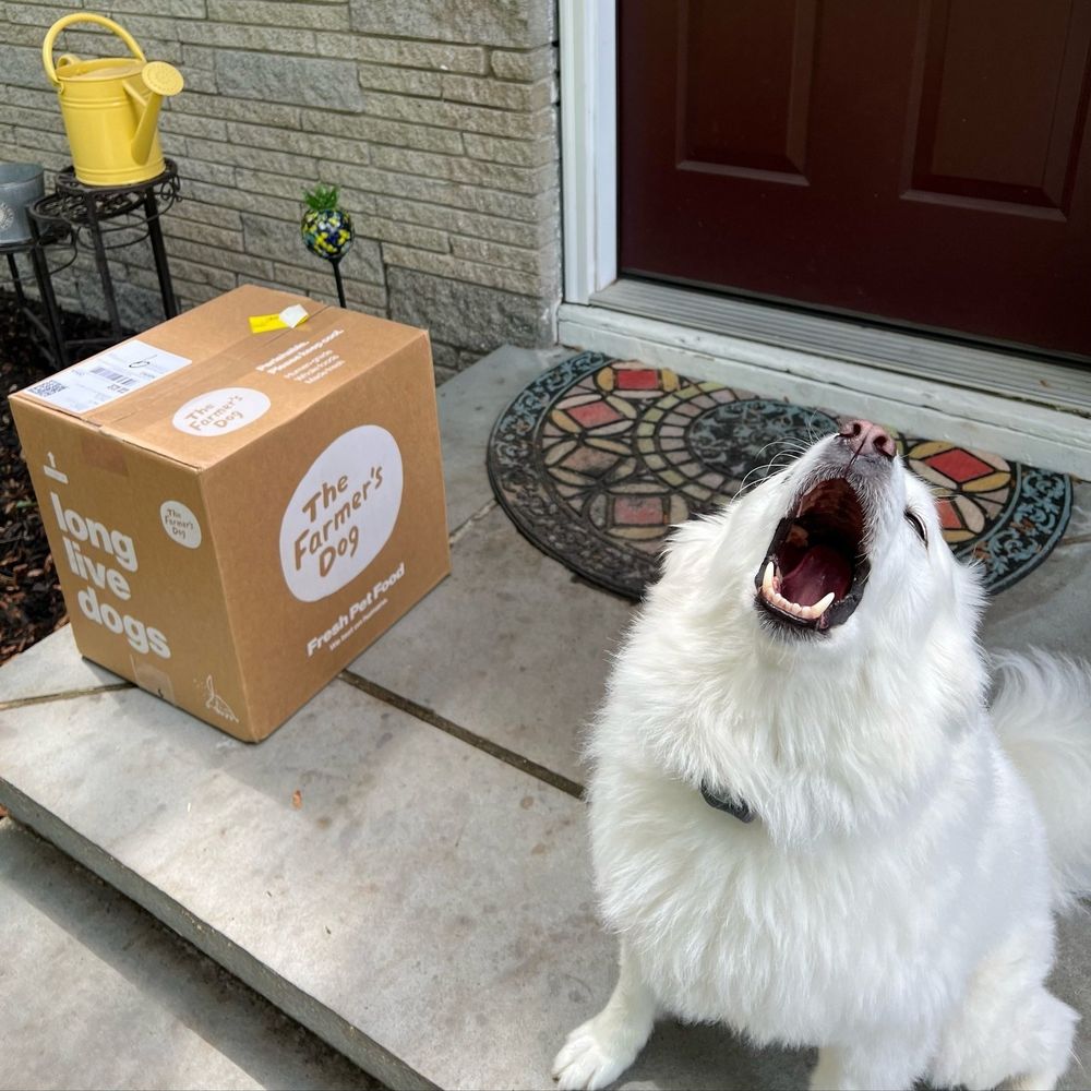 a big white dog sits on his front porch and screams upward, his mouth a gaping maw. a box from the farmer’s dog sits on the other side of the porch, and he is wailing because he lacks the thumbs necessary to open it by himself.