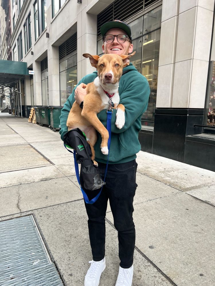 a person in a hat, glasses, and dark green hoodie holds leslie up and smiles at the camera. the pup has one front paw hooked on the human’s arm, and her ears are out in full flying nun mode. she’s wearing a black covering on her repaired leg.