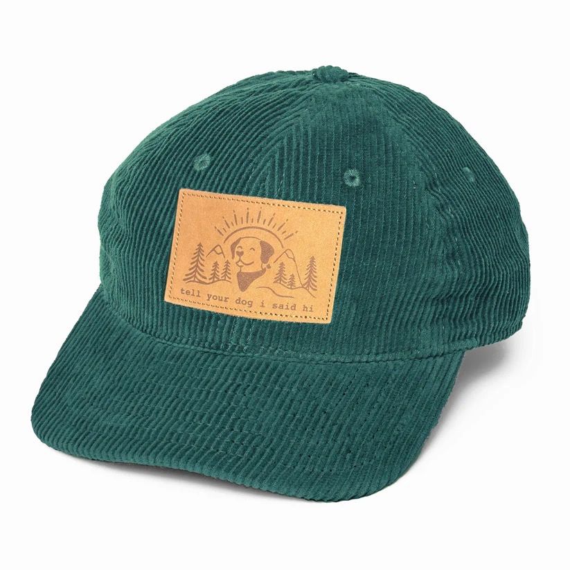 a teal green corduroy hat with a brown patch stitched on the front. it has an illustration of a dog surrounded by mountains and trees. below the design reads, "tell your dog i said hi."