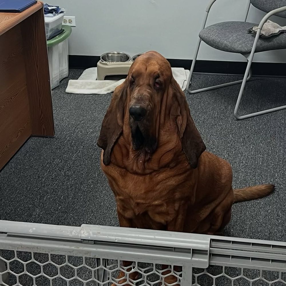 a closeup of walter’s melting face as he grapples with the monotony of corporate life. his eyes are a little red, and his attitude can be described as nonplussed at best.