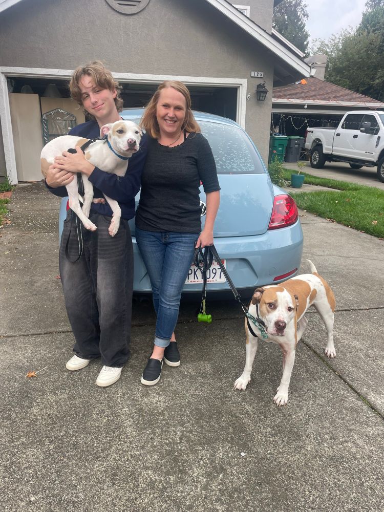a photo of Kintsugi and her new family stood outside of their home. they’re all positioned in front of a blue beetle bug car and another pup is standing on the ground right next to the two humans holding Kintsugi. 