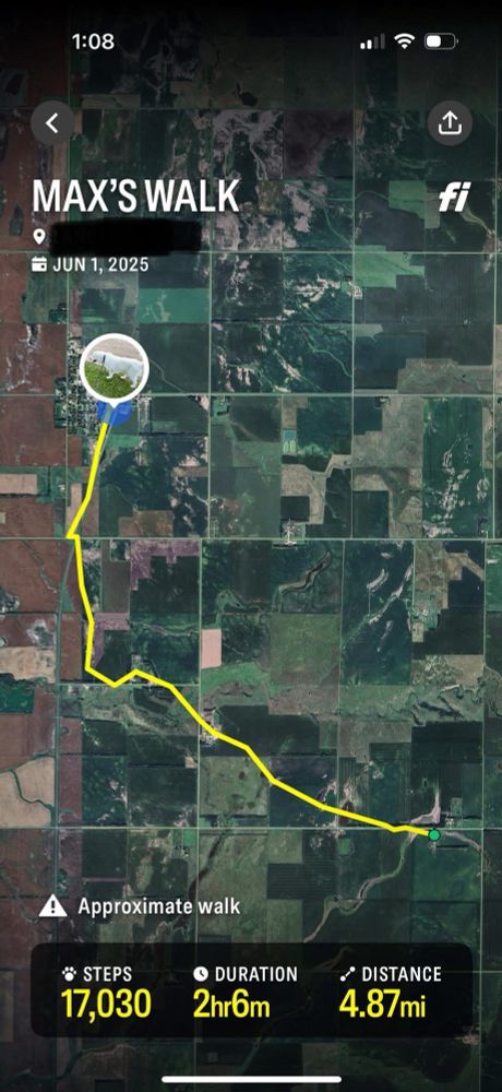 a screenshot of Max’s journey from his GPS collar app. it shows he went 5 miles across 2 hours and took 17,000 steps.