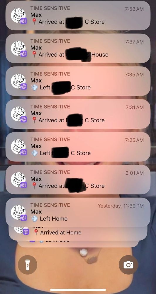 an iphone screenshot with all the notifications from his GPS collars tracking his adventure. he left home at 11:39pm and arrived at the store a little after 2, but waited there until 7:30.
