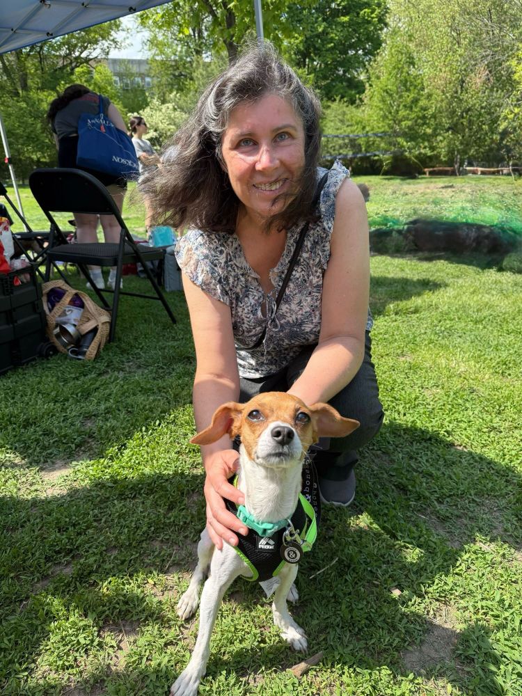 a light brown and white dog stands in some grass wearing a black harness while a person in a floral top crouches down with one hand on the dog’s side. the dog’s ears and person’s hair are both kind of flapping out with a light breeze.