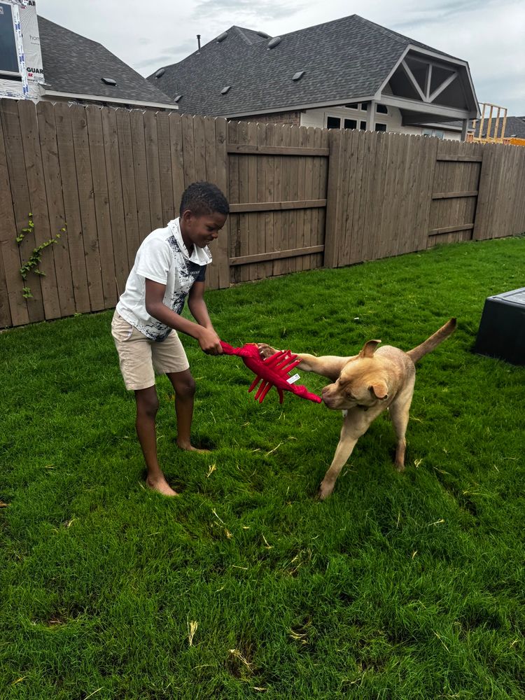 Waylon and Cai are now standing outside playing tug of war with a red toy