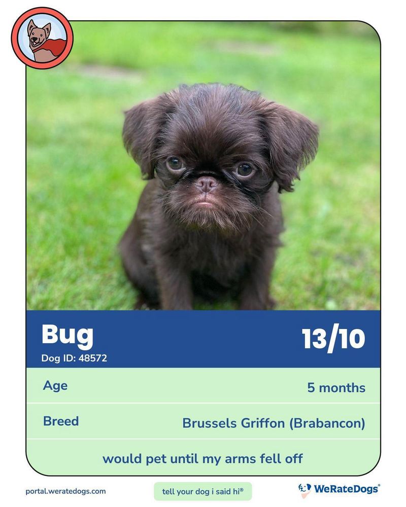 a designed graphic of Bug with his very own rating card. 