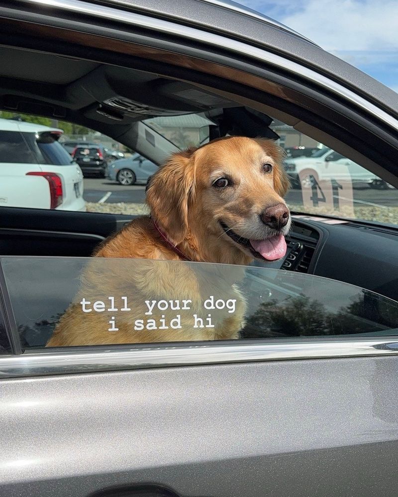 a golden retriever sits in the front passenger seat with their window rolled most of the way down. there is a 'tell your dog i said hi' sticker in white letters on the window. the golden looks back at us out the open window and gives us an open-mouth smile, tongue out, and squinty eyes.