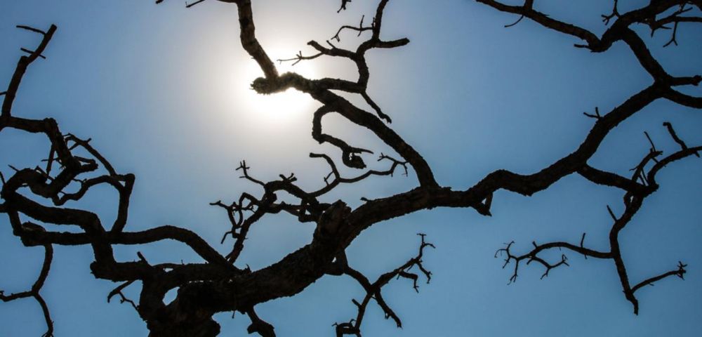 Calor de até 44ºC: o que esperar do clima no Brasil em outubro