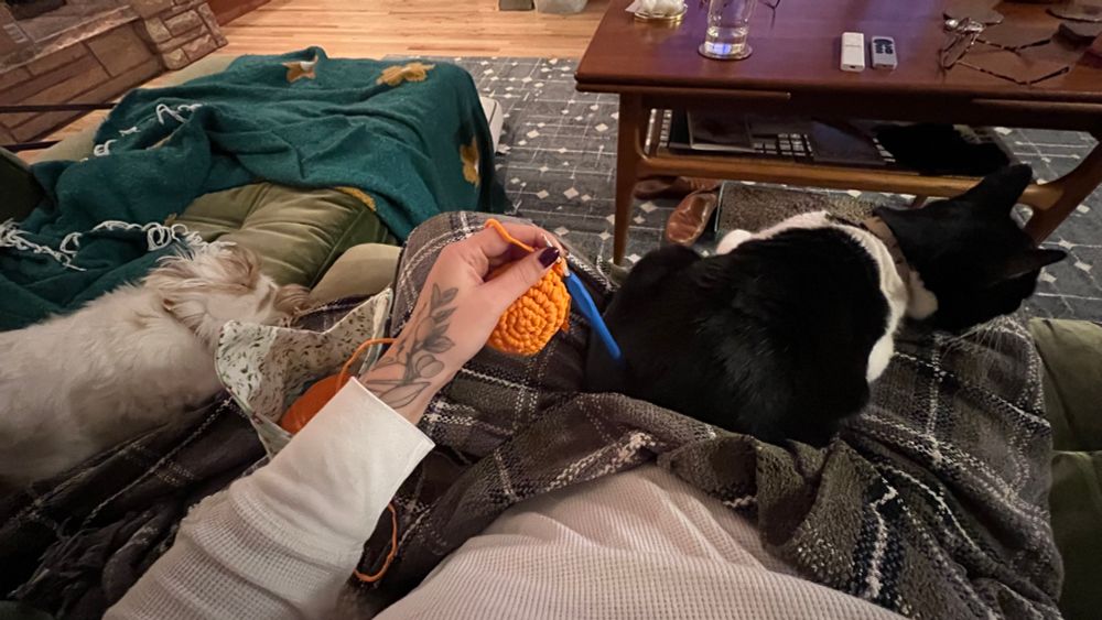 A dog and a cat laying on blankets and on a lap with a ball of crochet yarn. 