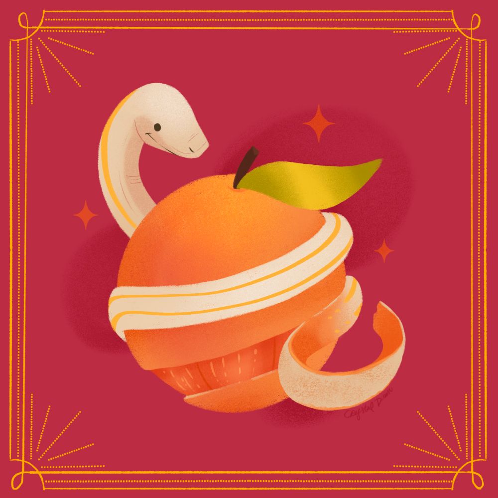 An illustration of a white snake that is wrapped around and orange. There is also an illusion of the snake turning into the orange peel coming off the orange sitting on a celebratory red and gold color in the background. 