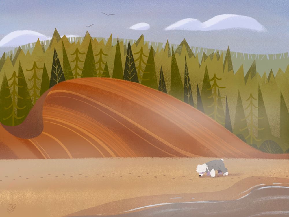 Illustration of the Oregon coastline with a unique rock formation and a tree line. There’s a sheep dog sniffing tracks in the wet sand.