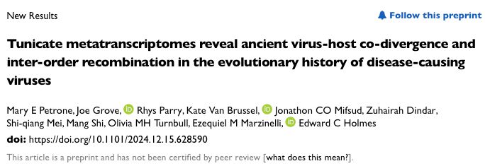 Screen grab of title page from BioRxiv website