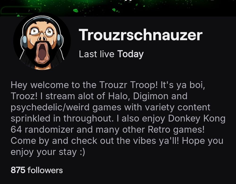 My Twitch bio and name 