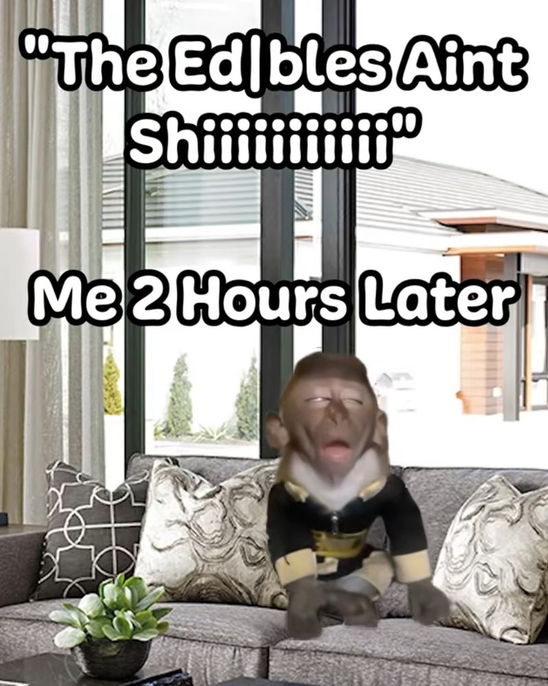 A monke looking high as shit on a couch. The caption reads, "The edibles ain't shiiiii" *me 2 hours later*