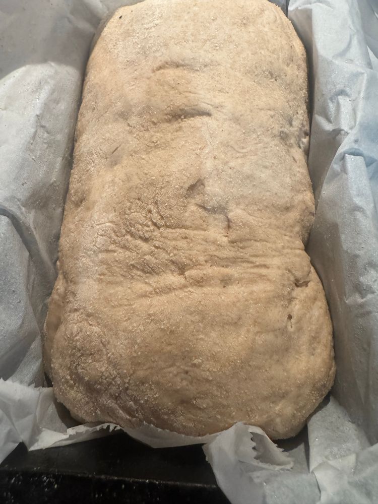 Same sourdough bread loaf, 2 hours into the final rise: oblong shape now fills approximately 70% of the 9x5 bread pan. 