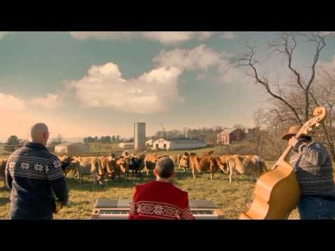 Holiday Jazz for Cows | Organic Valley