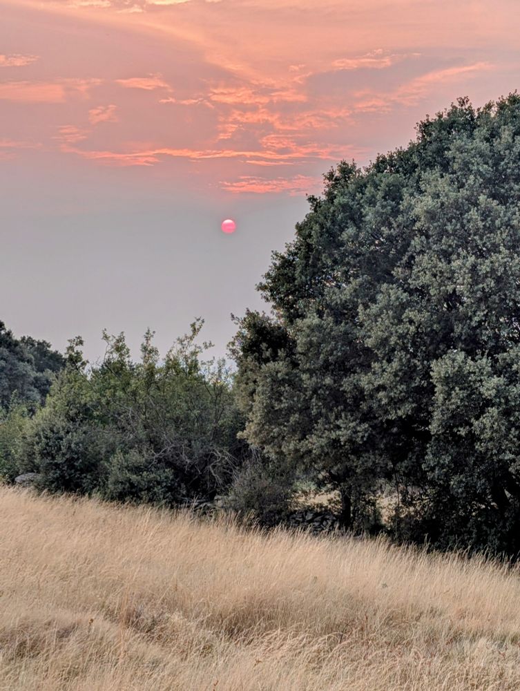 Today's sunset sky was fogged  by the smoke from wildfires in the distance. Hoping for rain to bring relief and help control the fires still burning.