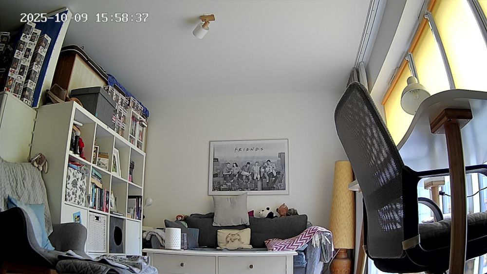 Scrennshot from my pet camera at home