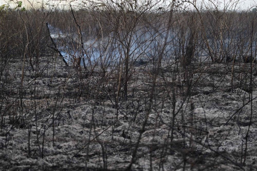 País não sabe agir diante dos incêndios