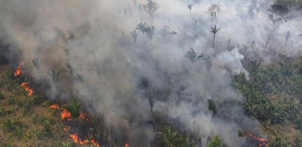 Carlos Nobre: Crise climática: mundo pode não ter mais volta e isso me apavora