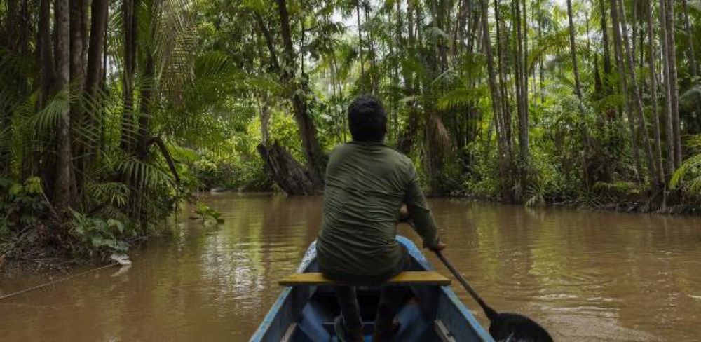 Carlos Nobre: Bioindustrialização é caminho para desenvolvimento sustentável da Amazônia