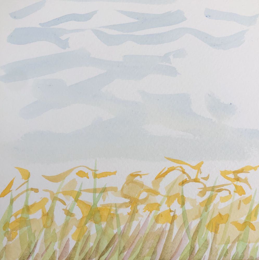 Watercolour painting of a field of yellow rushes and grasses under a subtle blue and white sky.