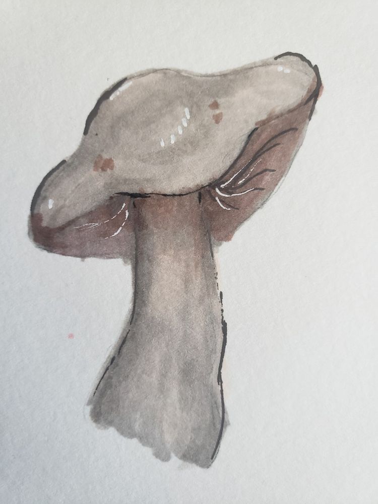 A physical illustration of a gilled, grey mushroom.
