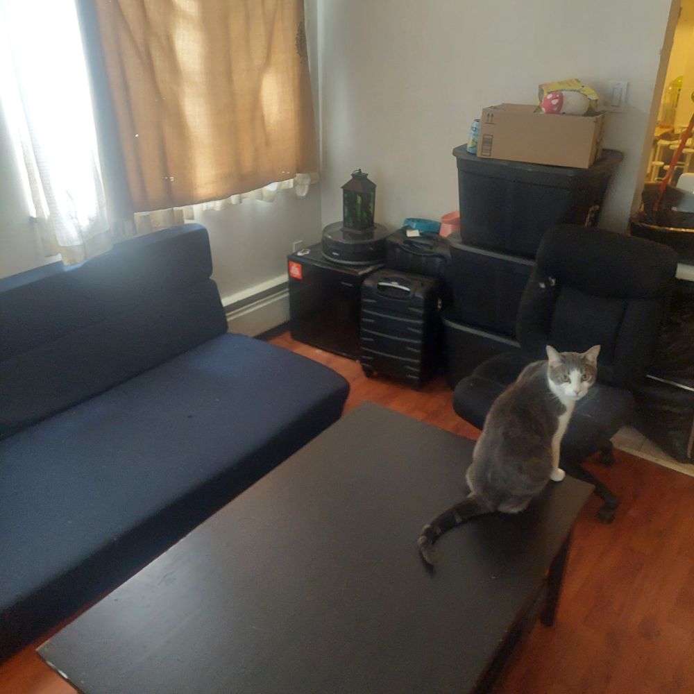 Second angle of rearrangement. Same model as before: Rude E Business 