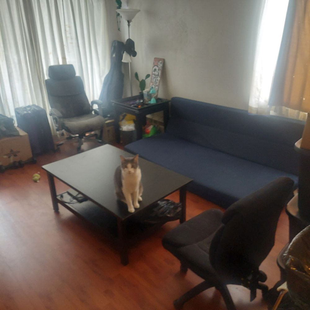 Our space, rearranged. Model: Rude E Business