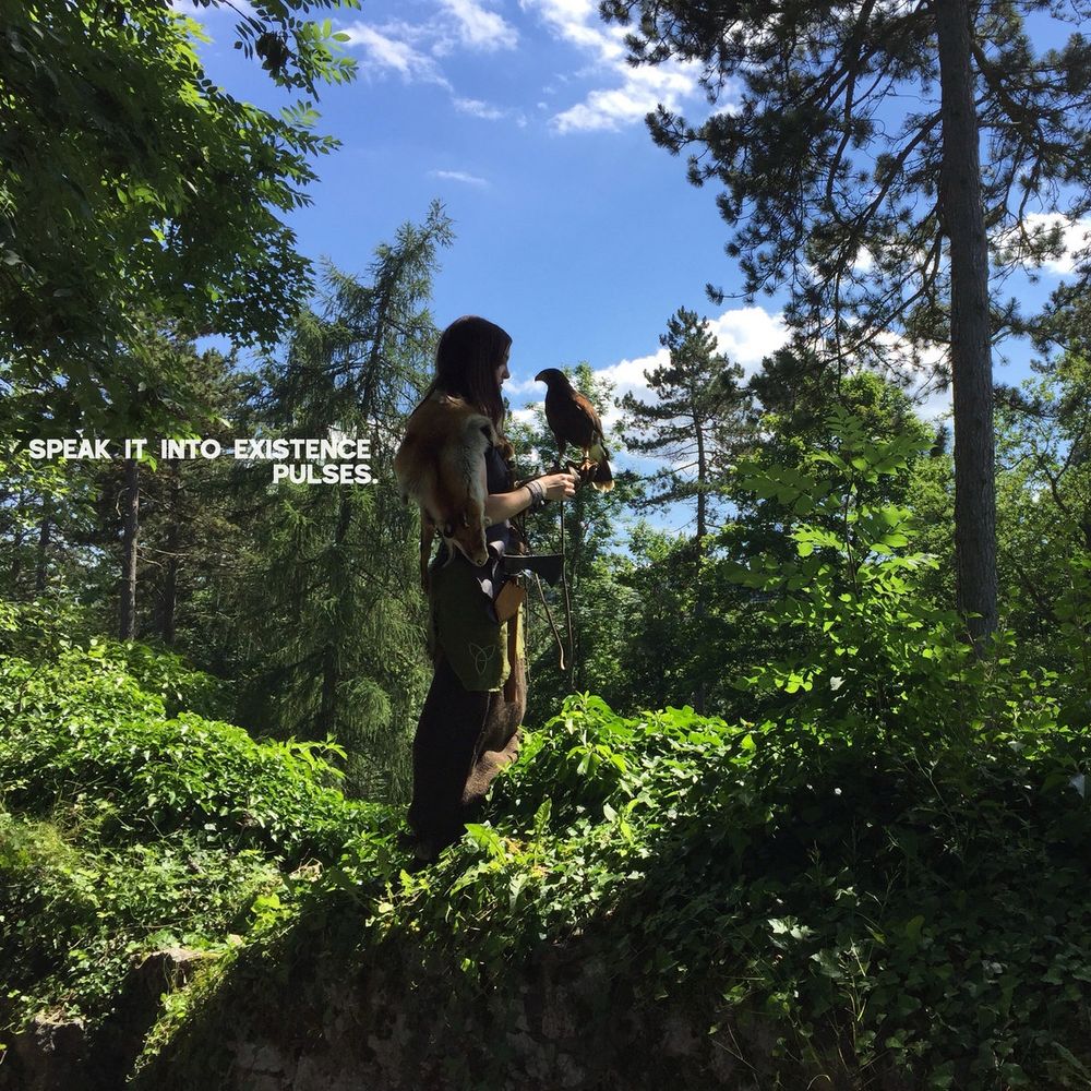 Cover of Speak It Into Existence by Pulses. 