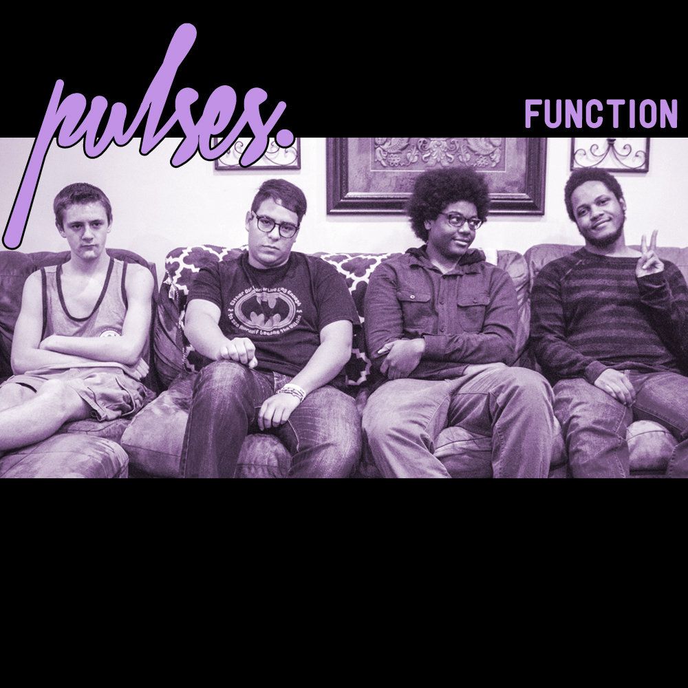 Cover of Function by Pulses. 