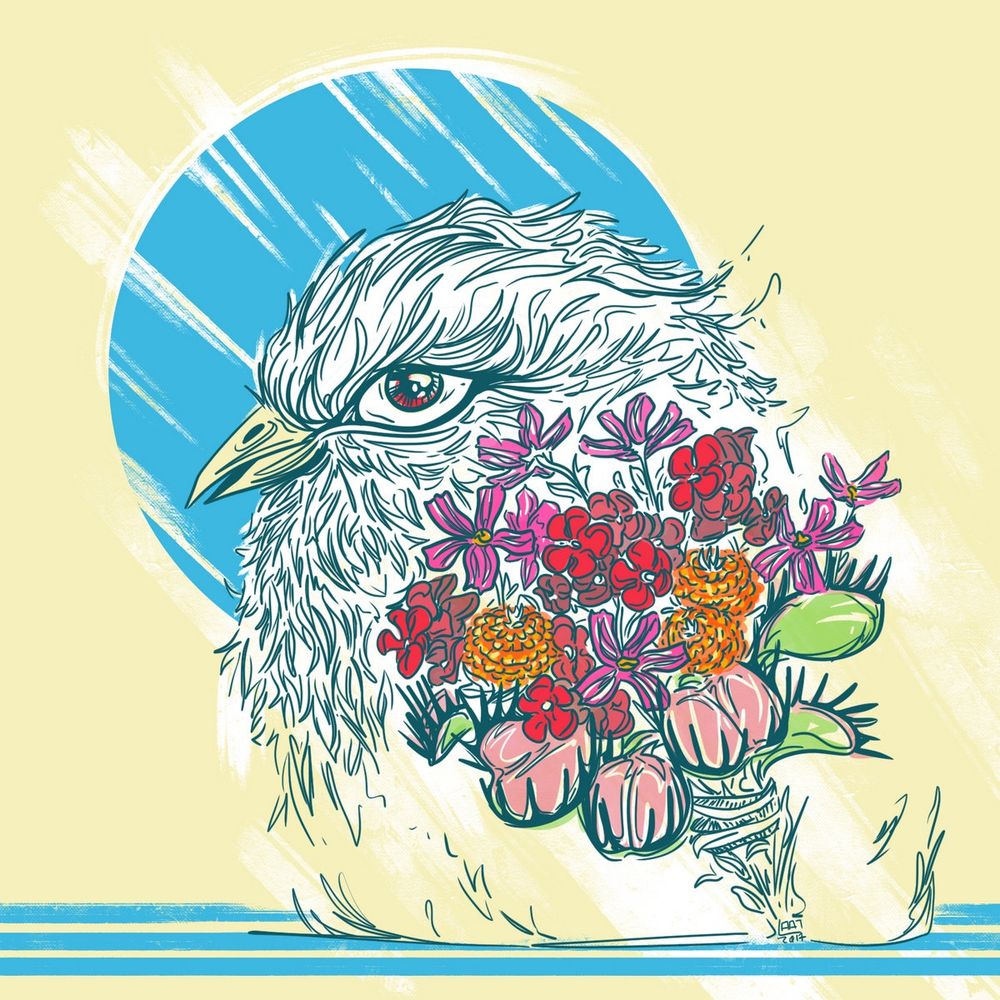Cover of Bouquet by Pulses. 