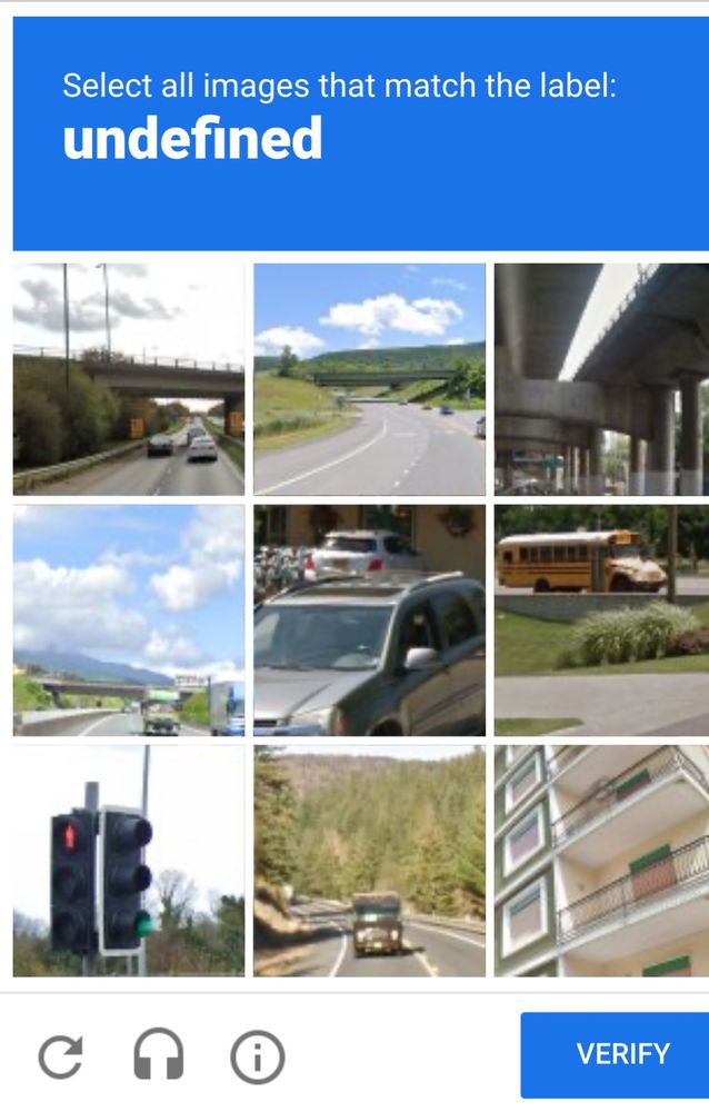 ReCAPTCHA asking to select all images that match the label: undefined 
