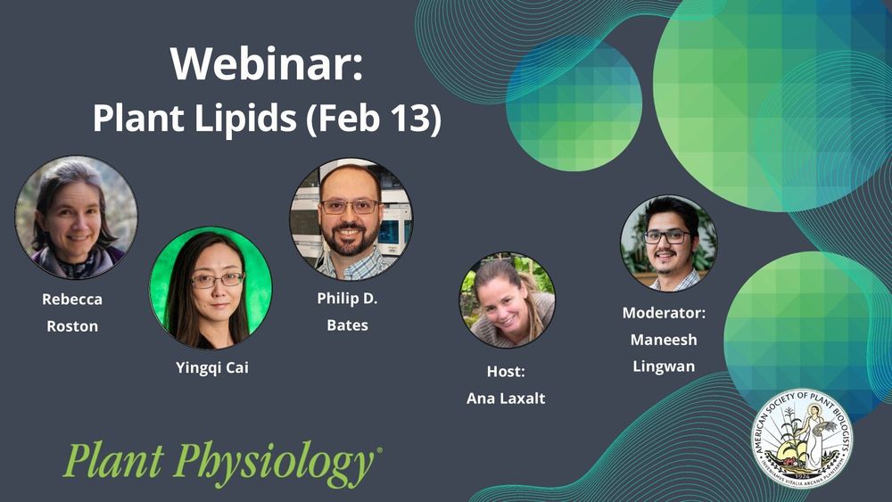 Image Text: Webinar: Plant Lipids (Feb 13). Speakers: Rebecca Roston, Yingqi Cai, Philip D. Bates. Host: Ana Laxalt. Moderator: Maneesh Lingwan. Featuring Speaker photos and ASPB and Plant Physiology logos on themed-background.