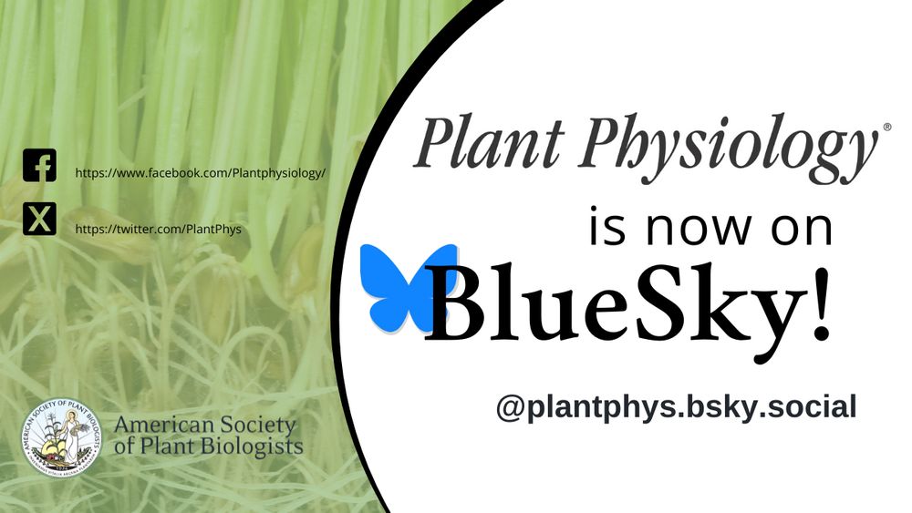 Image Text: Plant Physiology is now on BlueSky! @plantphys.bsky.social. Featuring Plant Physiology logo and social media account URLs, on a plant science-themed background