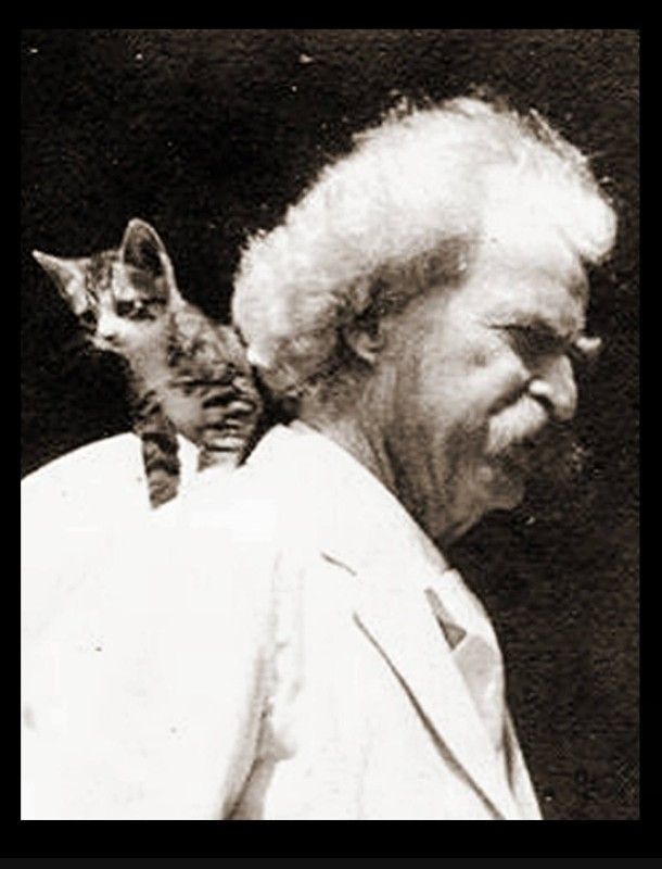 Black and white photo of writer Mark Twain in a white suit with a small tabby kitten perched on his shoulder/ back.
