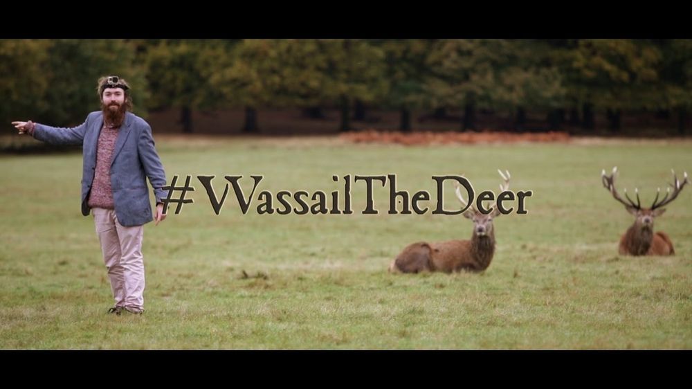 Dan in a field wearing a go-pro next to some red deer stags, with the words #WassailTheDeer