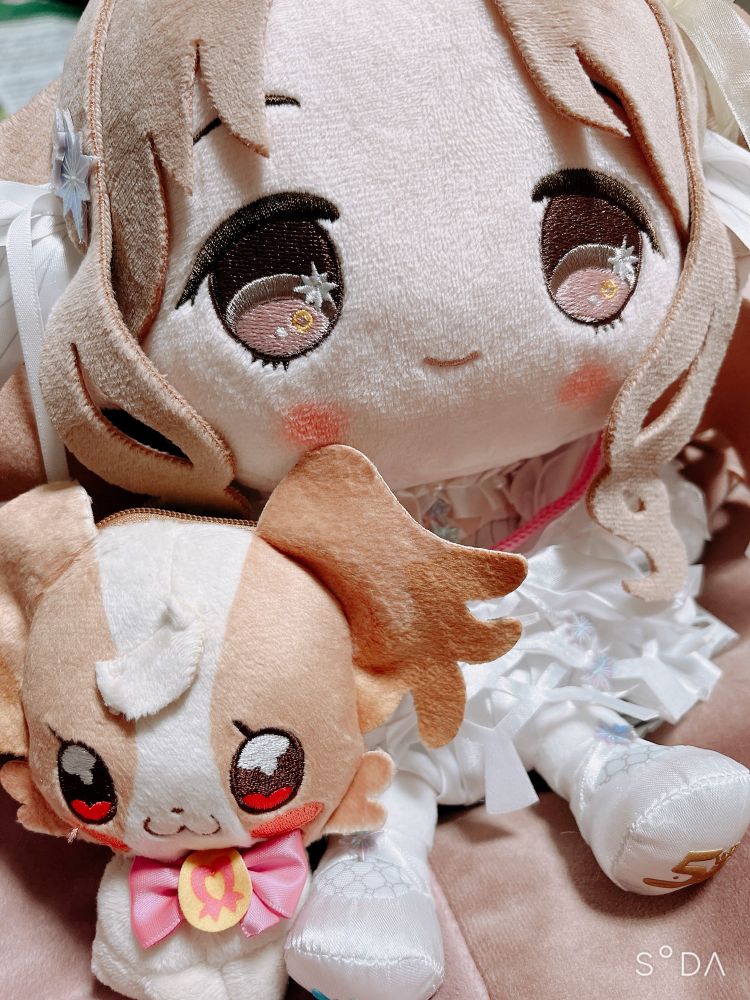 もちほわ雛菜とわんぷりおでかけポーチこむぎ