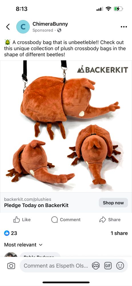 Advertisement for plush beetle bags!