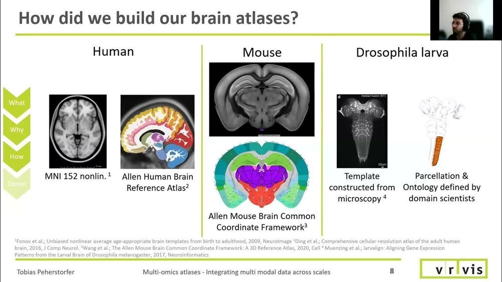 Multi-omics atlases - Integrating multimodal data across scales | Multiomics session