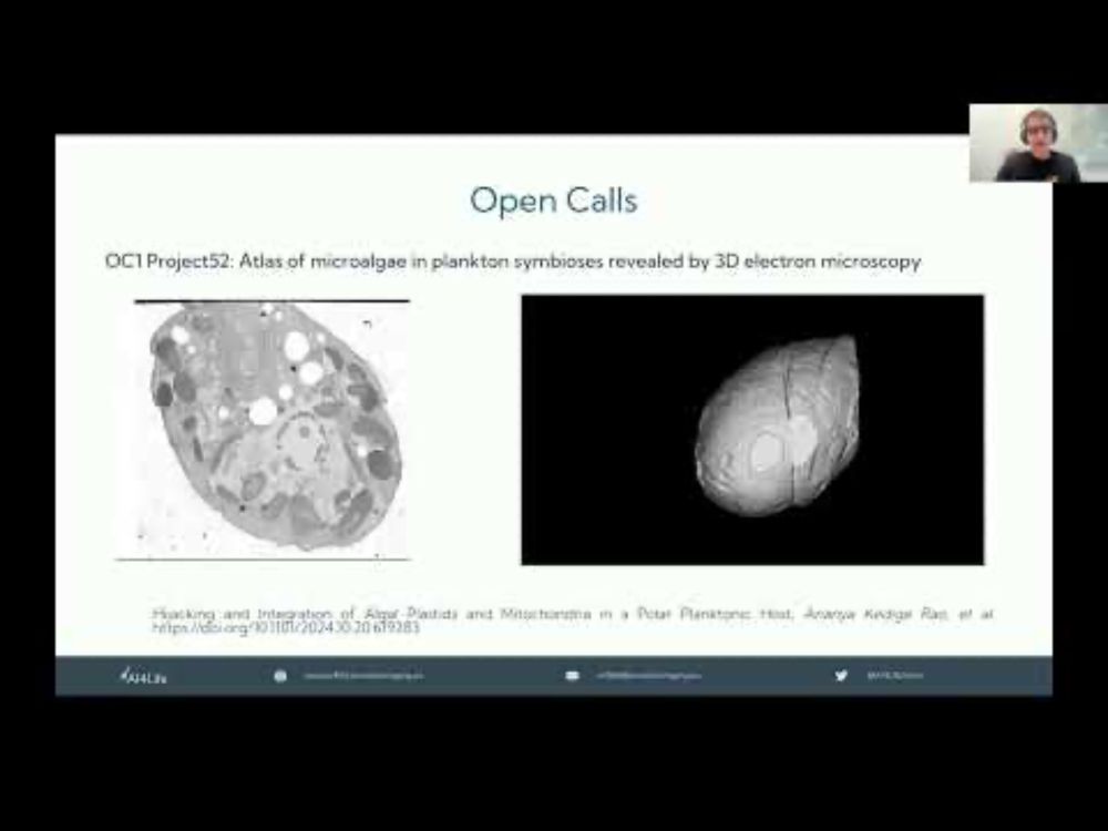 AI4Life Open Calls and Challenges | AI4Life session
