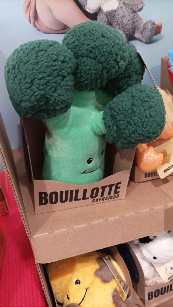 Bon alors comme écrit précédemment bah c'est la photo d'une bouillotte pour enfants en forme de brocoli. Voilà 